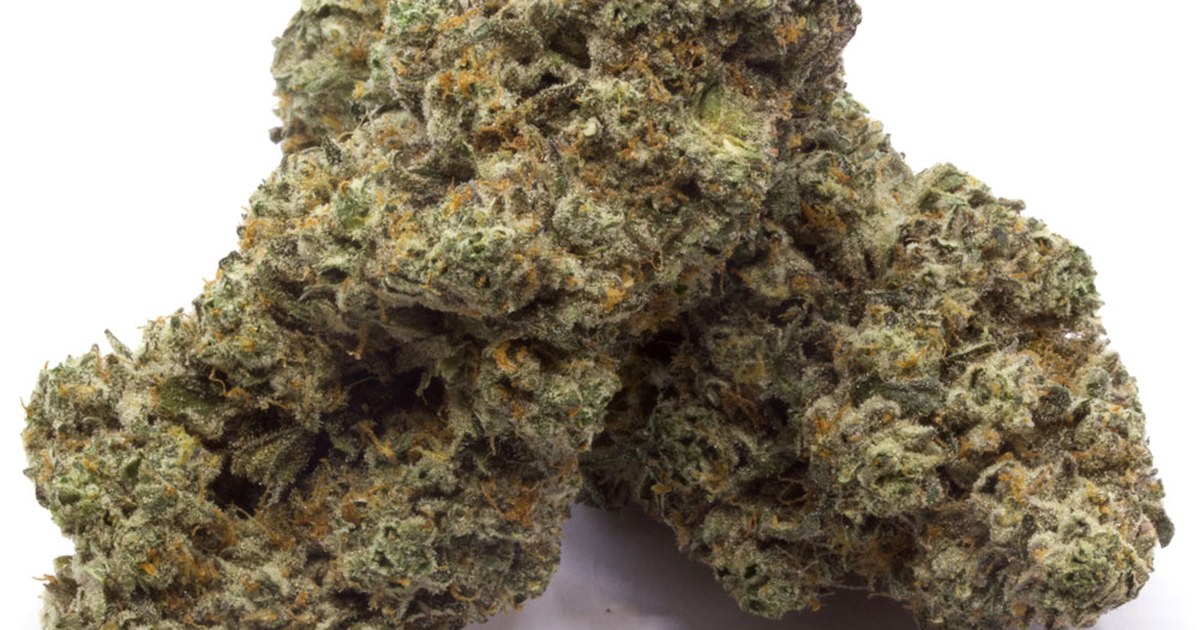 Purple Dragon Strain Guide: Effects, Flavour & Where to Buy