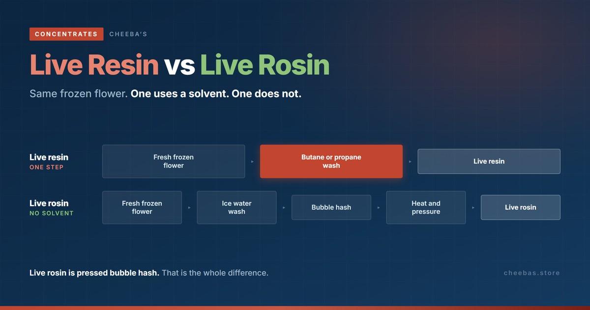 Live resin vs live rosin: same fresh frozen flower, one uses a solvent and one does not