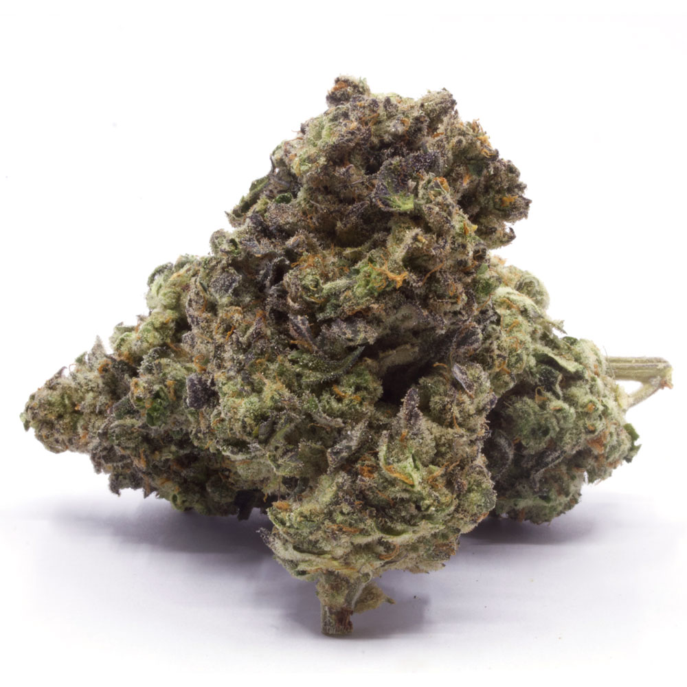 Bubble Gum