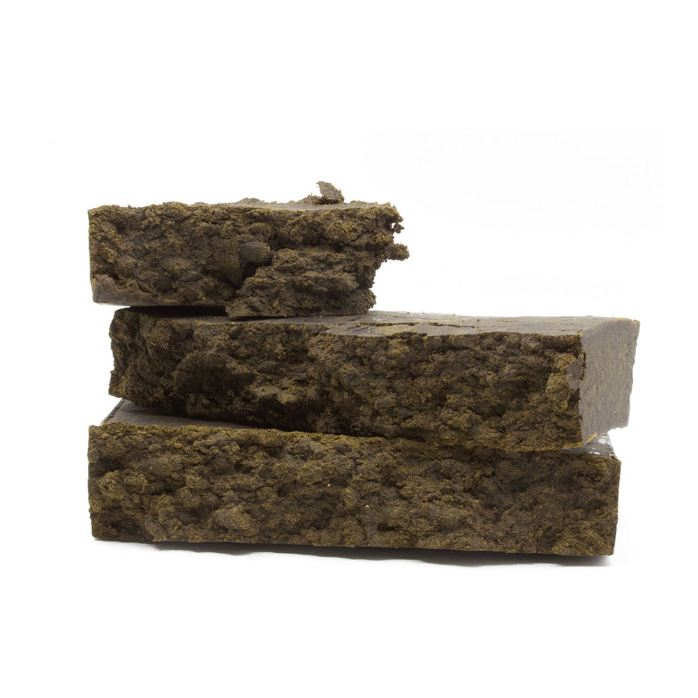 Gold Seal 2025 Edition