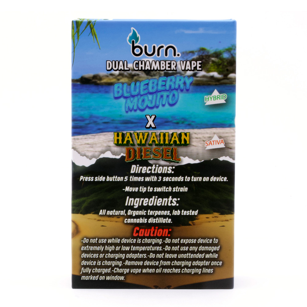 6g Dual Chamber Vape Pen by Burn