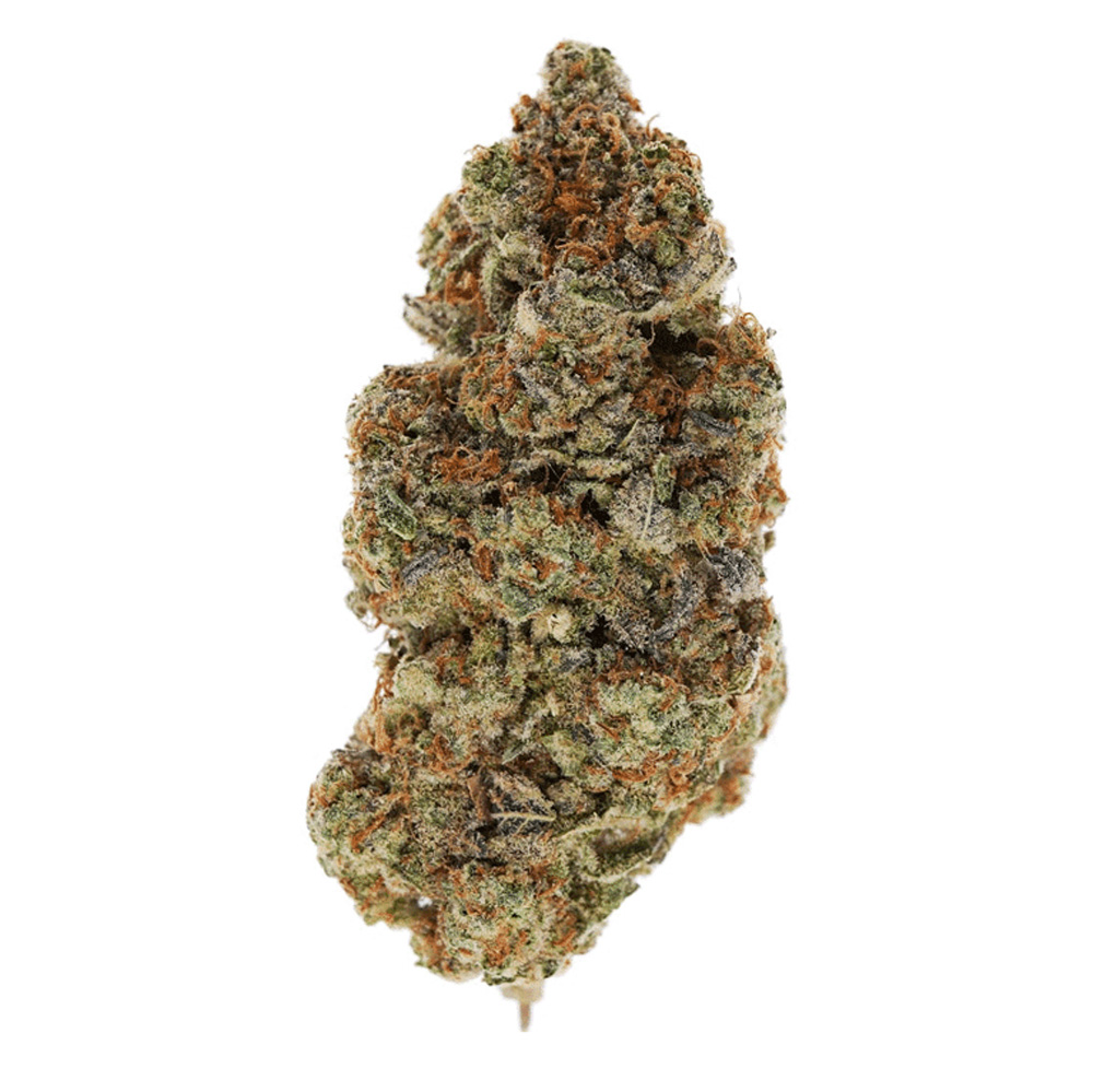 Notorious THC