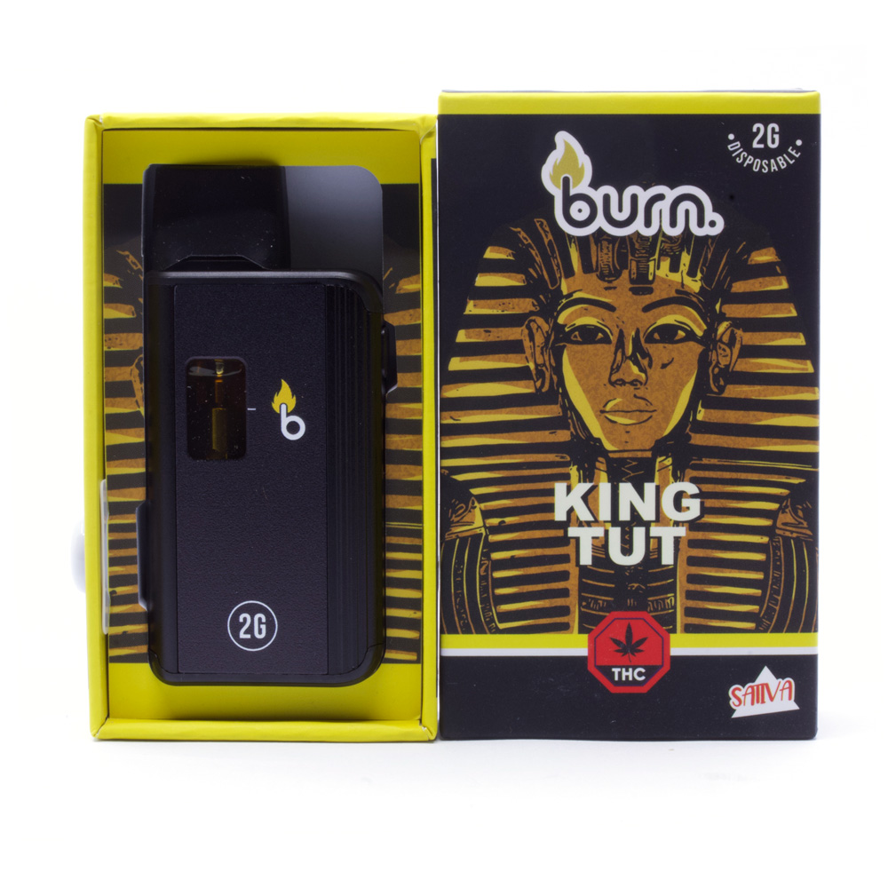 2g THC Vape Pen by Burn