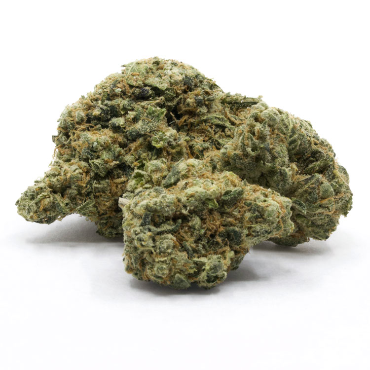 9 Pound Lemon Hammer by Tegridy Farms