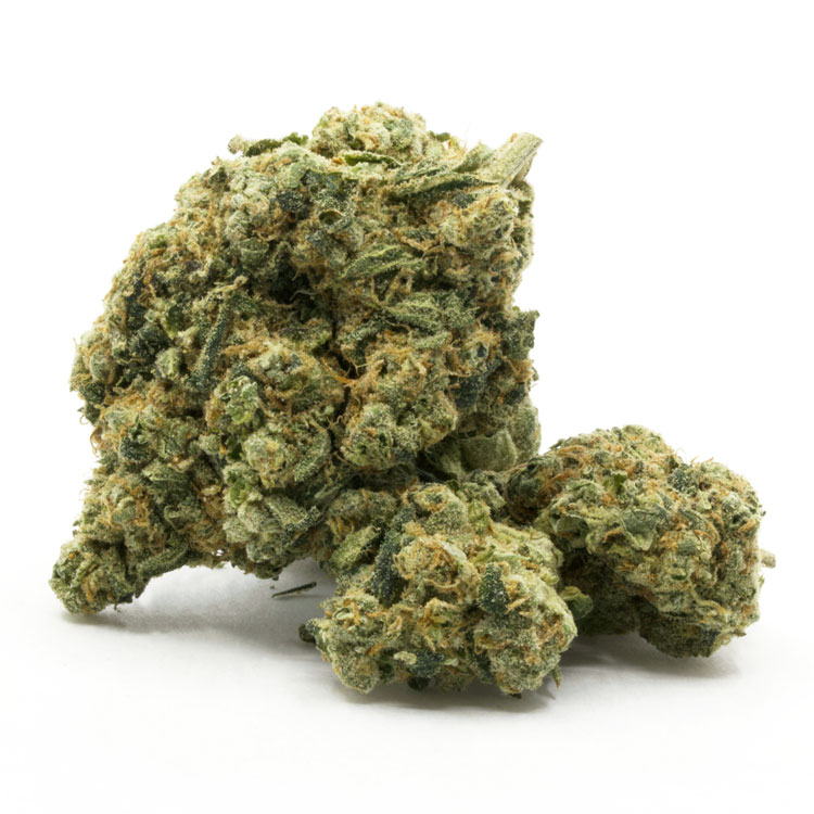 9 Pound Lemon Hammer by Tegridy Farms
